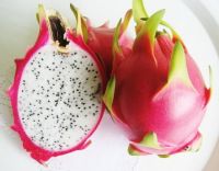Sell Dragon fruit quality with big volume order
