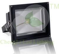 Led landscape lighting-FS290-40W