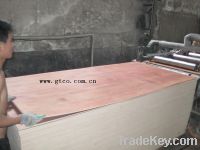 Sell hardwood faced plywood