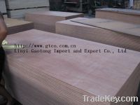 Sell keruing plywood