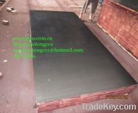 Sell phenolic waterproof shuttering board