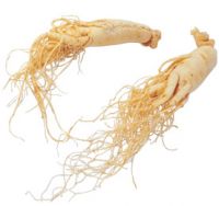 Sell Ginseng Extract