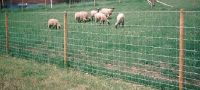 Sell prairie fence wire mesh