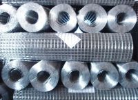 Sell Galvanized Wire mesh