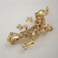 Sell lizard jewelry brooch(B488)