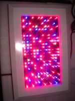 120W blue and red hydroponic LED grow light