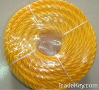 Sell  PE rope with competitive quality and price