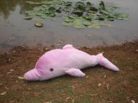 Sell dolphin shaped plush toy
