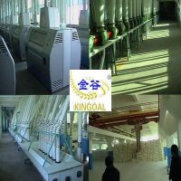 Sell 6FTF-300 wheat flour mill