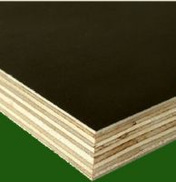 Sell plywood