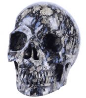 6.69" Natural Llanite Stone Skull/Skeleton Carving #5647