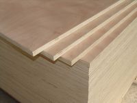 supply poplar plywood