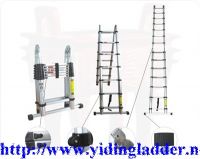 Sell Magic telescopic ladder patent protected