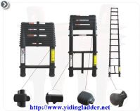 Sell colour Telescopic ladder