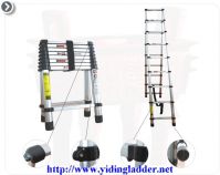 Sell double telescopic ladder