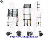Sell 3.8M telescopic ladder