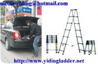 Sell 2M Double telescopic ladder