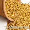 Fenugreek Seed