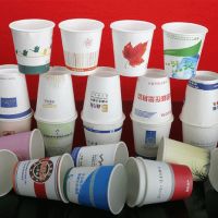 PE coated disposable paper cup
