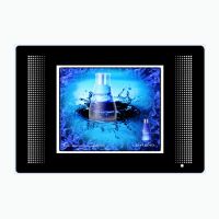 [AD190-3]19 inch Wall Mounting LCD Ad Player