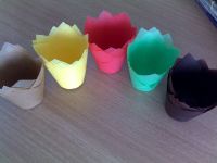 Tulip Baking Cups in different colors