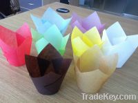 Sell tulip cups in 8 plain colors
