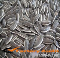 confectionary raw sunflower seeds