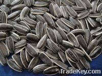 Sell striped confectionary sunflower seeds
