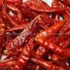 sell red chili