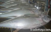 Sell Fresh Chilled Yellowfin Tuna