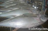 Sell Fresh Chilled Yellow fin Tuna