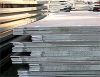 Sell  steel plate, Veteran producer