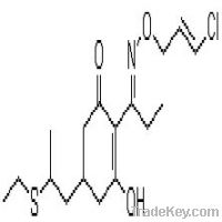 Sell Clethodim