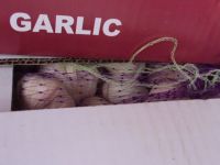 carton packing normal white garlic