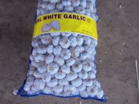 Supply chinese normal white garlic exporter