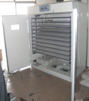 Sell best automatic EGG  incubator YZITE-16 approved CE