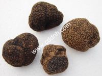 sell  chinese truffle
