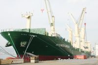 Ocean Freight Shanghai to Buenaventura/Callao/Guayaqui/Iquique/San Ant