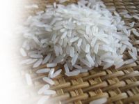Sell jasmine rice