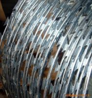 Sell razor    barbed wire mesh