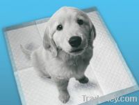 Pet Training Pad