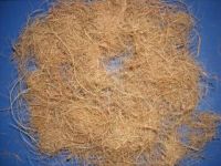 Sell coconut fiber