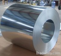 Sell galvanize, zinc coated steel sheet in coil