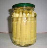 Sell Pickled Baby Corn