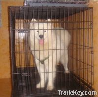 Hot Sell Weld Dog Kennel