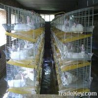 Commercial Rabbit Cage