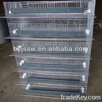 layer quail cages for sale