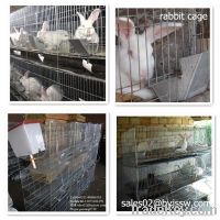 Indoor & Outdoor Rabbit Cage