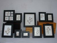 Sell wood photo frame 10pcs set