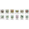 Sell cab porcelain beads